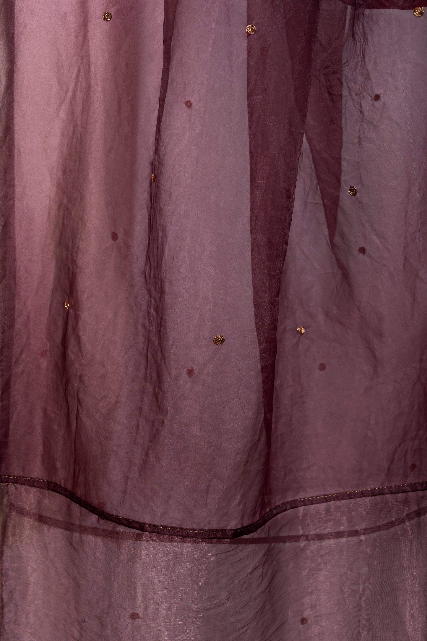 Brown Silk Organza Dupatta