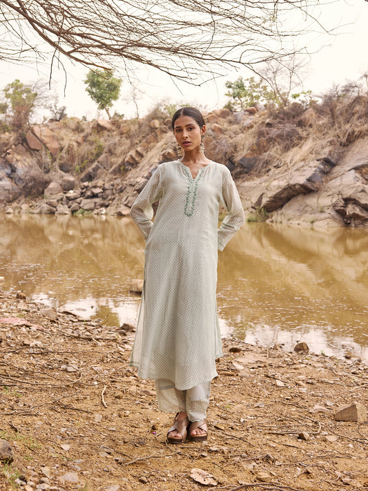 Sky Blue Printed mul Chanderi Beadwork Kurta