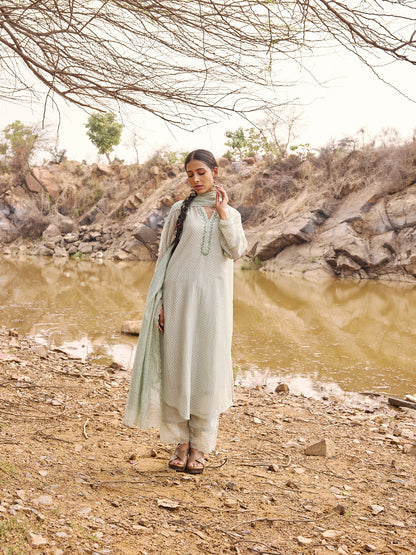 Sky Blue Printed Mul Chanderi Scalloped Dupatta